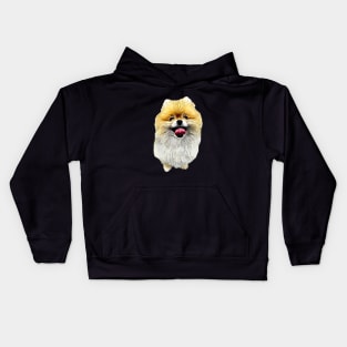 Pomeranian Dog Cutes Puppy Kids Hoodie